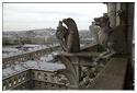 Notre-Dame 1