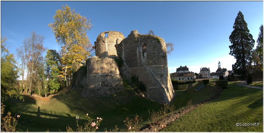 chateau de Conches en  Ouche